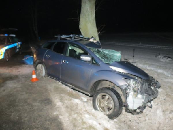 Strážkovice, 30. ledna 2014