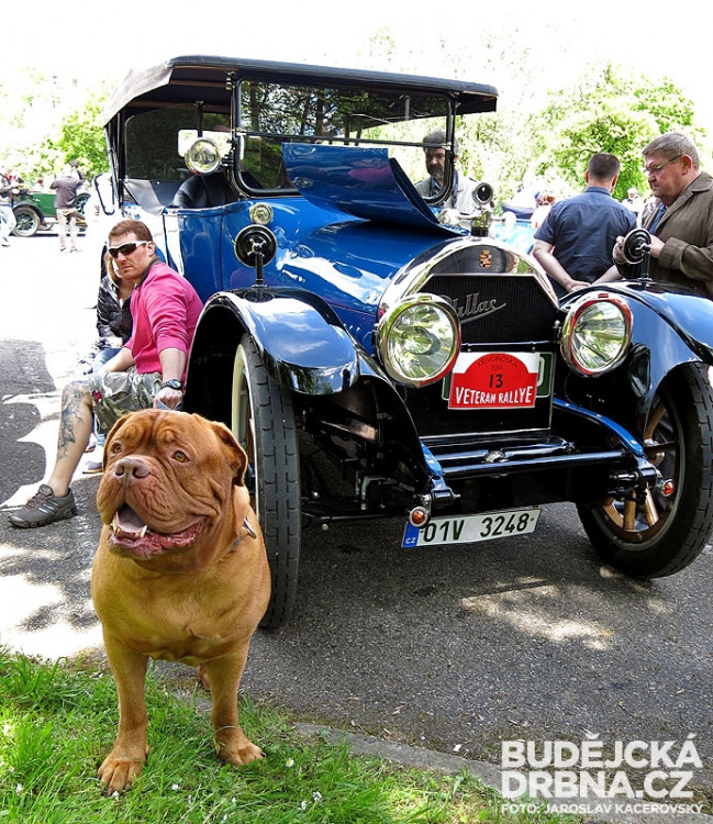 44. Veteran rallye Křivonoska 2014