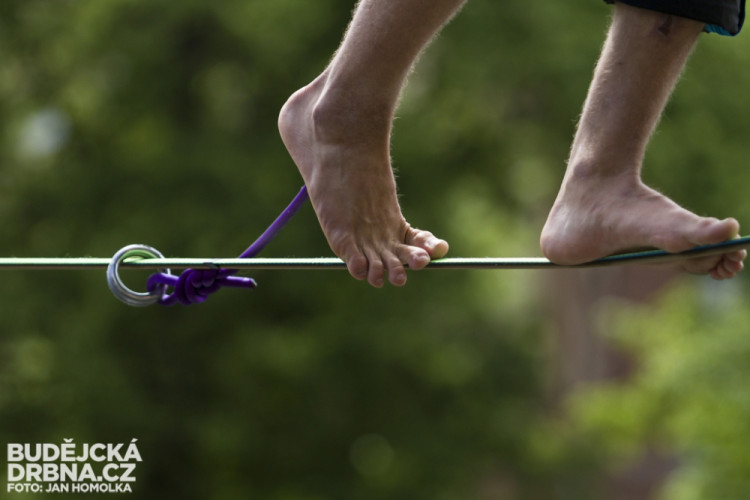 Budějovický Majáles 2014: Den první