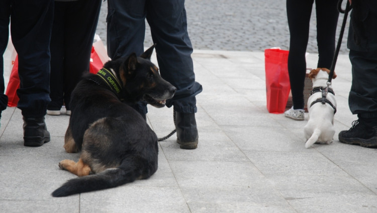 "To to trvá, si raději lehnu."