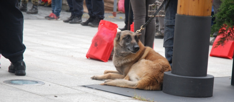 "Koukám, kde co lítá."
