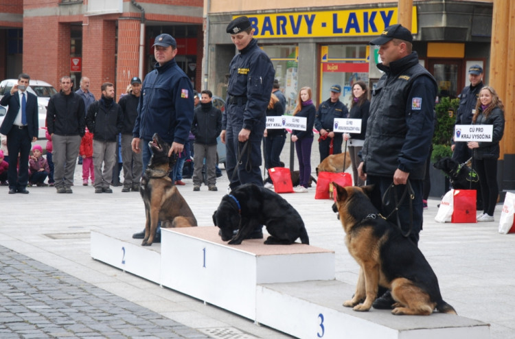 Tři nejlepší vyhledávači drog.