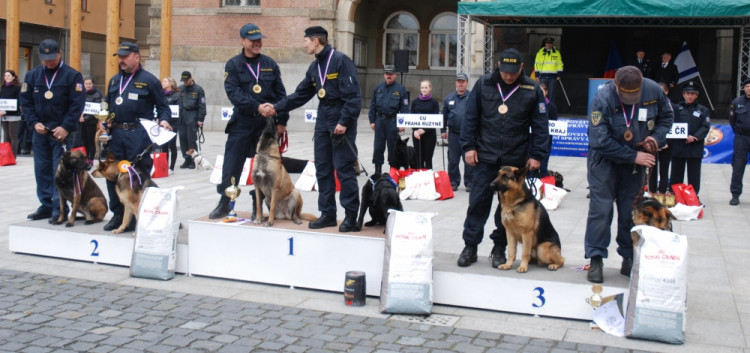 Šestice nejúspěšnějších soutěžících.