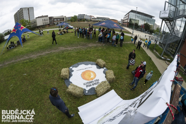 Red Bull Gravity Challenge 2014