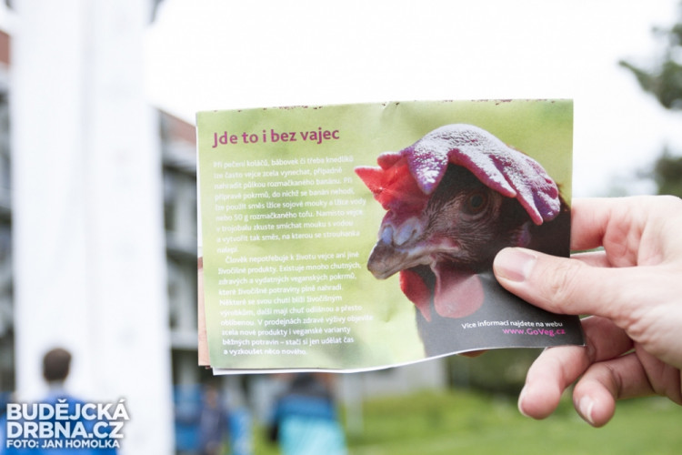 Red Bull Gravity Challenge 2014