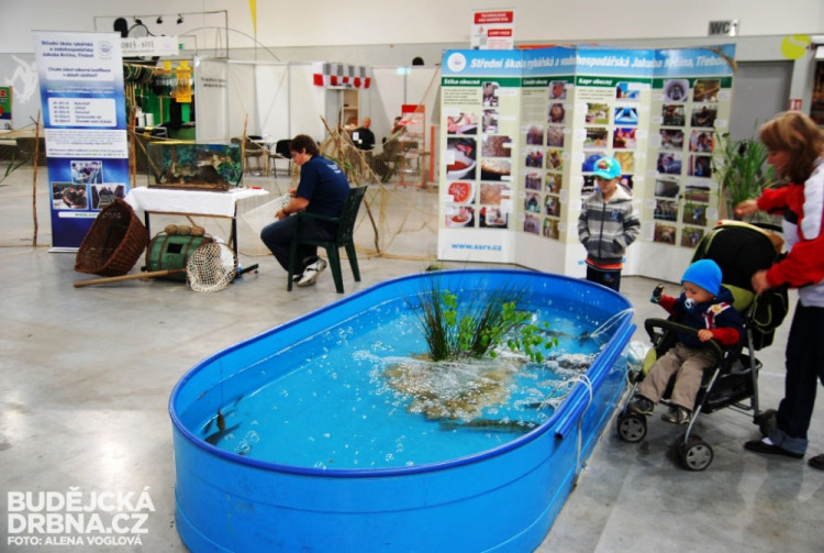 Na Hobby jste mohli navštívit i Rybářský veletrh