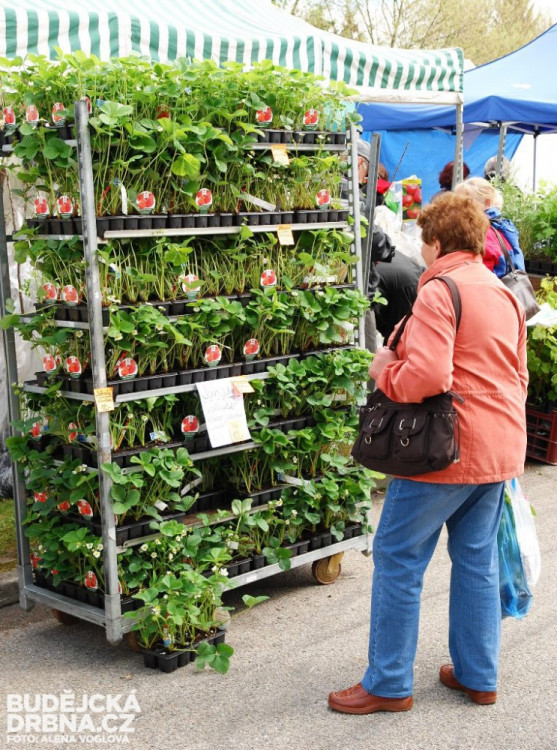 Na Výstavišti se konal další ročník Hobby