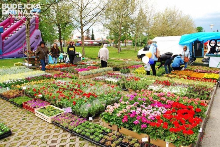 Zahradníci prodávali své výpěstky