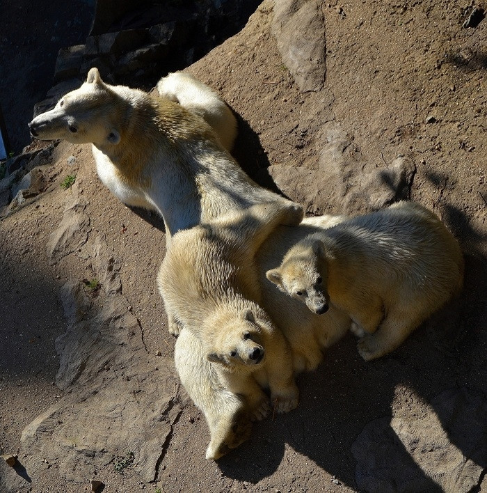 5.–12. místo bez pořadí:  Aleš Berka; Amálie Mrkosová a Robert Kúkol; Dominika Černá; Eva Kolářová; Jakub Kramárik; Jan Poláček; Petr Stejskal