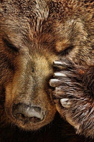 5.–12. místo bez pořadí:  Aleš Berka; Amálie Mrkosová a Robert Kúkol; Dominika Černá; Eva Kolářová; Jakub Kramárik; Jan Poláček; Petr Stejskal