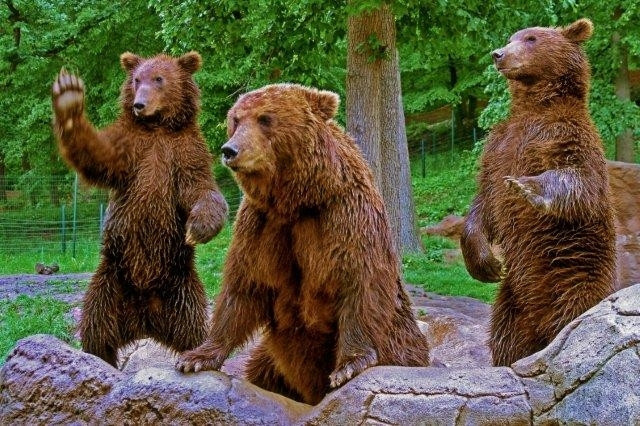 5.–12. místo bez pořadí:  Aleš Berka; Amálie Mrkosová a Robert Kúkol; Dominika Černá; Eva Kolářová; Jakub Kramárik; Jan Poláček; Petr Stejskal