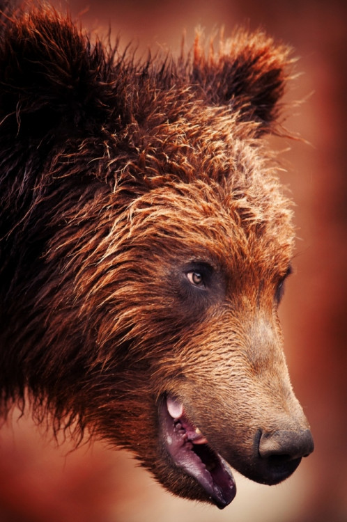 5.–12. místo bez pořadí:  Aleš Berka; Amálie Mrkosová a Robert Kúkol; Dominika Černá; Eva Kolářová; Jakub Kramárik; Jan Poláček; Petr Stejskal