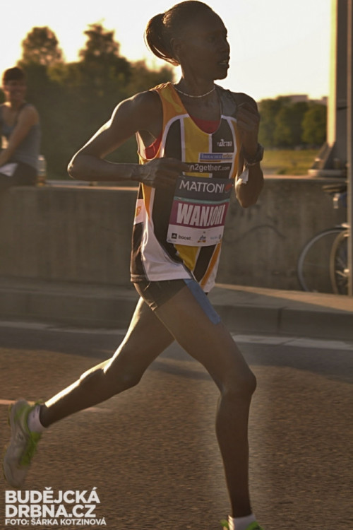 Mattoni 1/2Maraton České Budějovice 2014