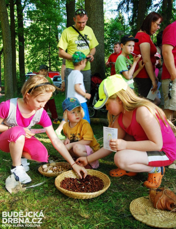 Místo sladkostí se pojídaly semínka a ořechy