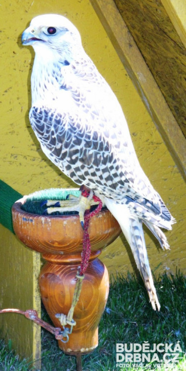 15. Hornické slavnosti v Rudolfově