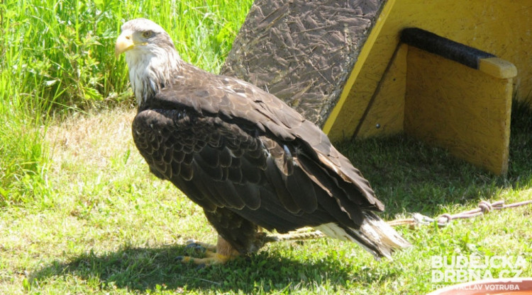 15. Hornické slavnosti v Rudolfově