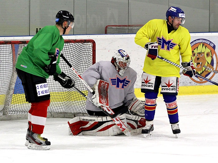 Hokejisté Motoru trénovali s Prospalem a Modrým