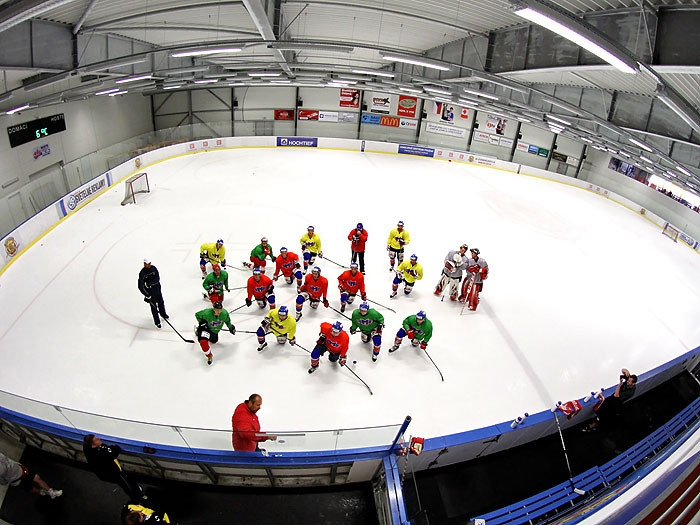 Hokejisté Motoru trénovali s Prospalem a Modrým