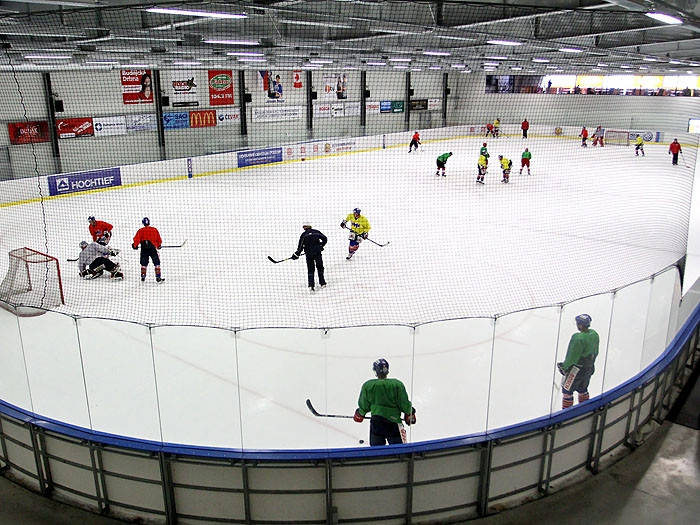 Hokejisté Motoru trénovali s Prospalem a Modrým