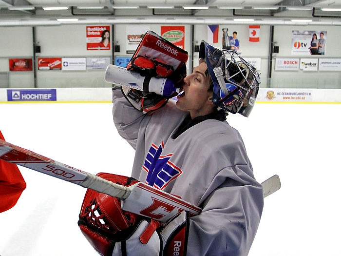 Hokejisté Motoru trénovali s Prospalem a Modrým