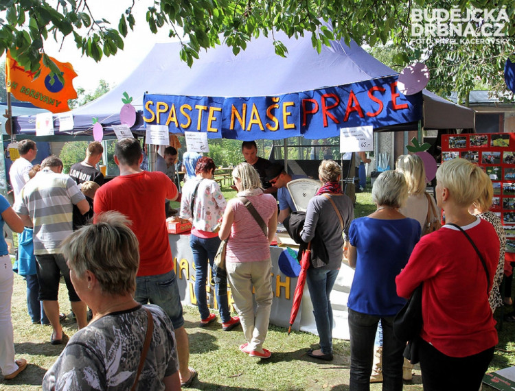 Čuník už to měl spočítané