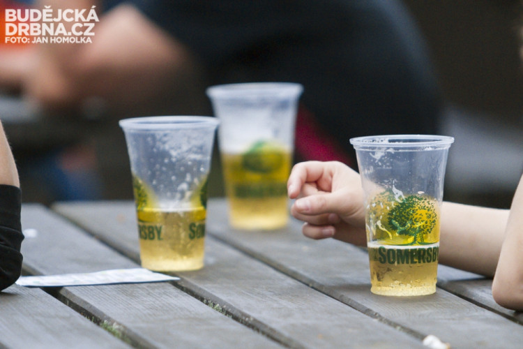 Central Park Slavie 2014