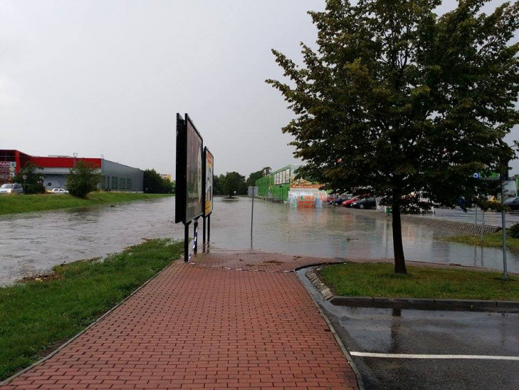 Terno. Foto Bohumil Blahoš