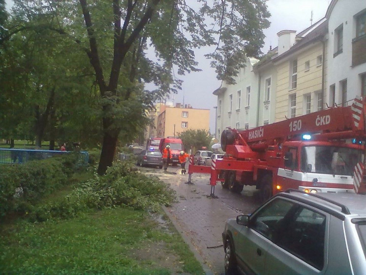 Pád větve stromu na zaparkovaná auta v ulici Československých legií. Foto Ivana Prouzová