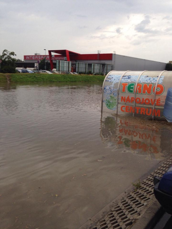 Terno. Foto Jan Jareš