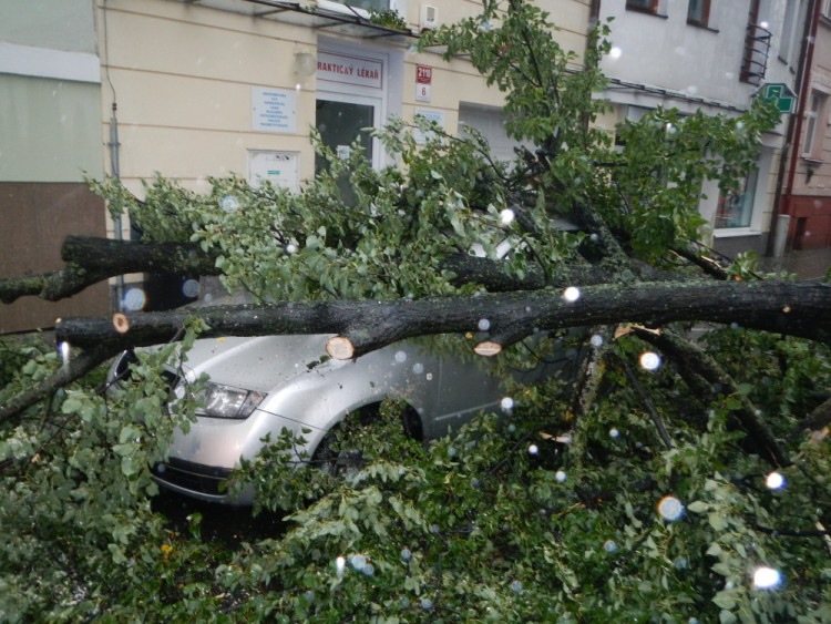 Pád větve stromu na zaparkovaná auta v ulici Československých legií. Foto HZS Jihočeského kraje