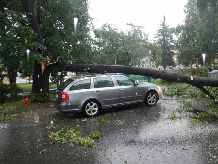 Pád větve stromu na zaparkovaná auta v ulici Československých legií. Foto HZS Jihočeského kraje