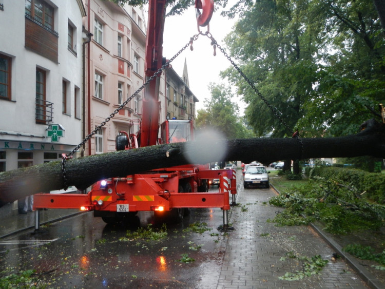 Pád větve stromu na zaparkovaná auta v ulici Československých legií. Foto HZS Jihočeského kraje