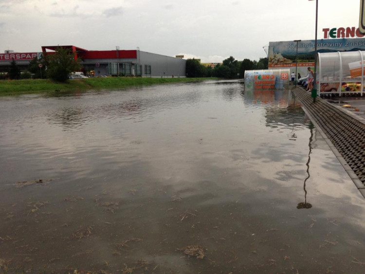 Terno. Foto Hana Janatová