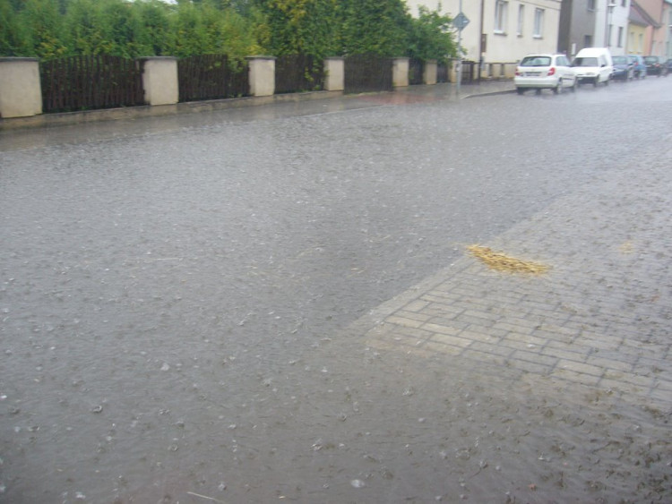 Ulice Bohuslava Martinů. Foto Pavla Cimburková