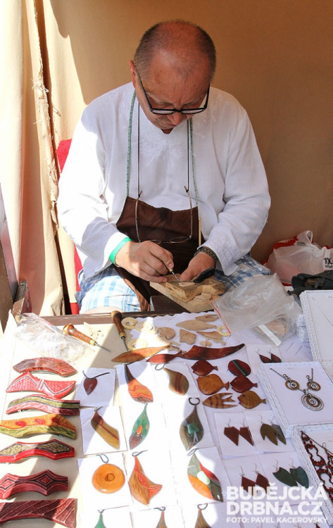 17. Selské slavnosti Holašovice 2014