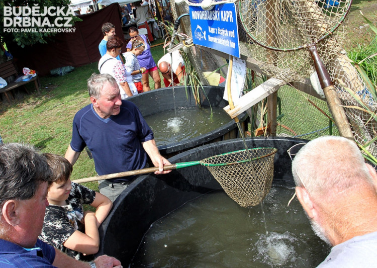 17. Selské slavnosti Holašovice 2014