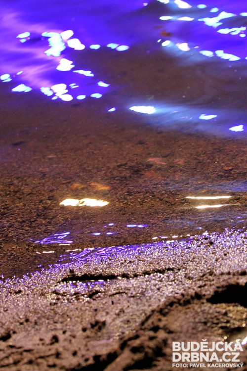 Frymburkfest - Lipno 2014