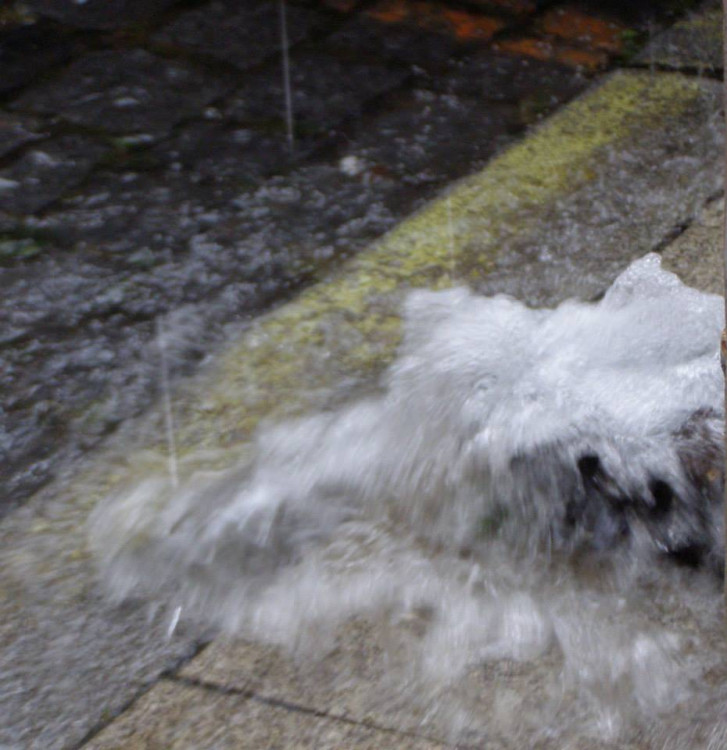 Česká ulice. Foto Hana Hamerníková