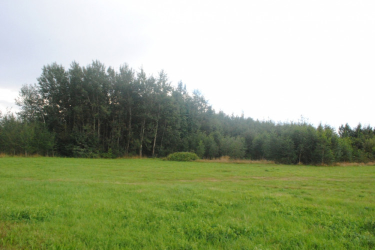 Pohled od letištní dráhy, která se tímto směrem měla rozšiřovat a i díky tomu musela vila pryč. Na rozšíření už ale nedošlo.