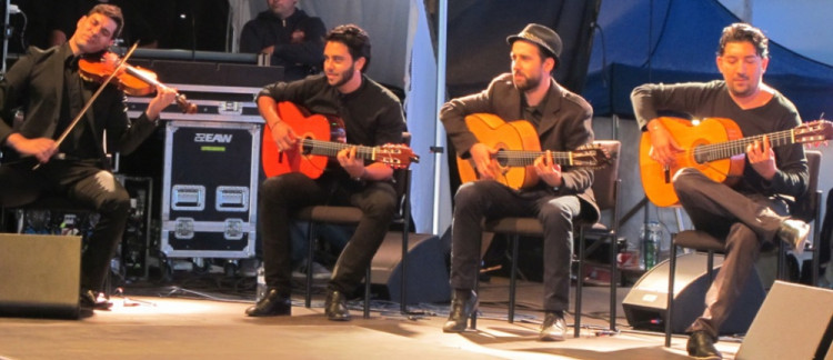 Richard Bona Flamenco Project