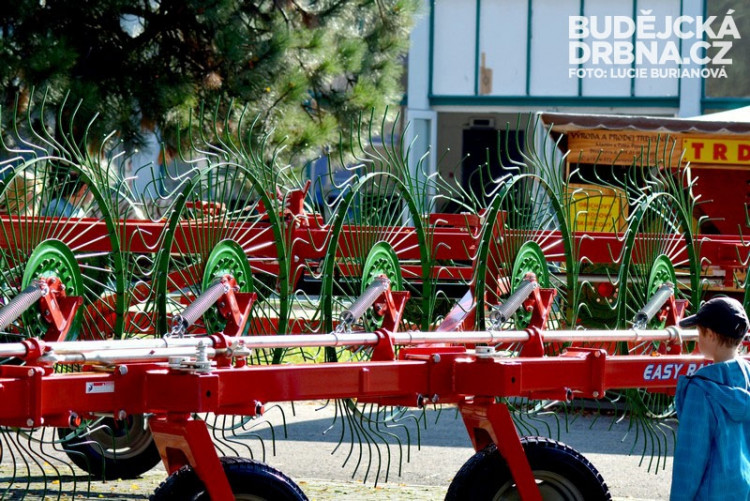 41. Země živitelka 2014