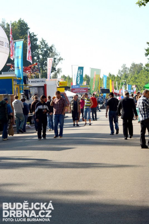 41. Země živitelka 2014