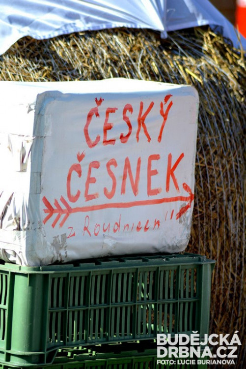 41. Země živitelka 2014