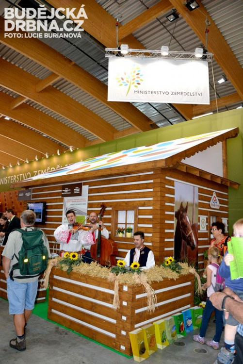 41. Země živitelka 2014