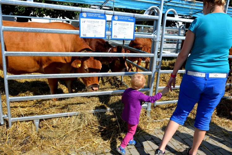 41. Země živitelka 2014