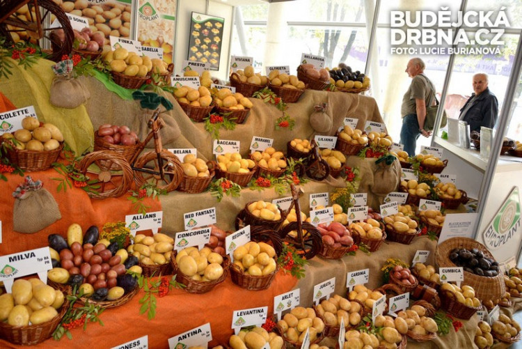 41. Země živitelka 2014