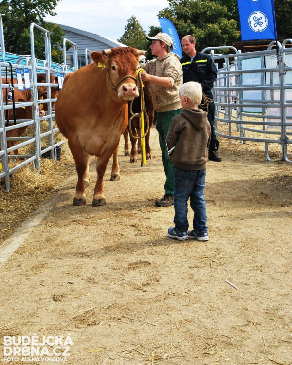 Země živitelka 2014