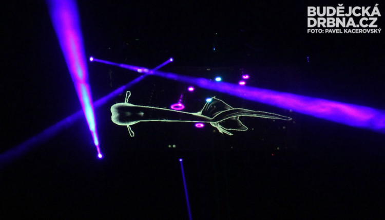 Prostorová multimediální show Bouře