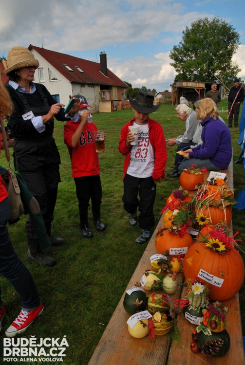 Dýně připravené do soutěže