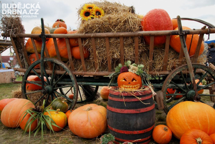 Na celém dýňobraní se podíleli všichni z vesnice i Nepomuku